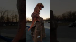 T-Rex Playground
