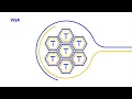 Visa Network Tokens