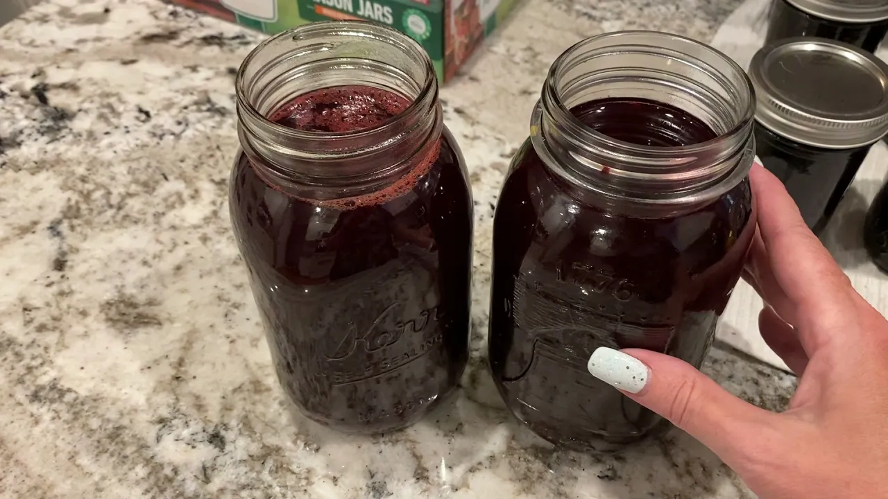 Blackberry Jelly | Blackberry Jelly Recipe | How to Make Blackberry Jelly