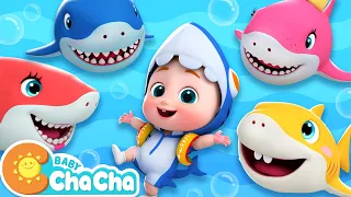 Baby Shark | Baby Shark Doo Doo Doo Dance | Baby ChaCha Nursery Rhymes & Kids Songs