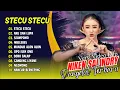 Download Lagu Niken Salindry - STECU STECU - AKU DAH LUPA | Kembar Campursari || DANGDUT TERBARU 2025