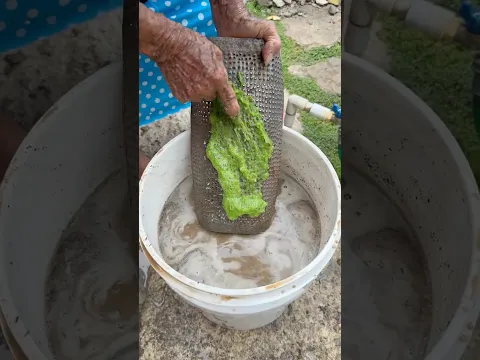 Así Puedes Aclarar el Agua Sucia con Nopal