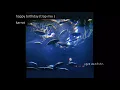 Download Lagu happy birthday - karrot