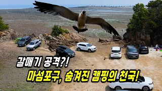 장고항옆 마섬포구 아늑한 차박 캠핑지 썸네일