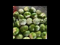 Download Lagu Jangan Terong