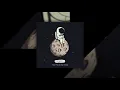 Auxjack - Meet Me on the Moon