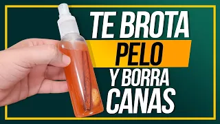La Semilla de Aguacate que Elimina las CANAS y Duplica el Crecimiento del Cabello (Nadie te lo Dice)