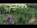 Download Lagu Круговорот.  Сергей Чекалин. The Cycle. Sergey Chekalin.