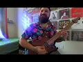Hands Like Houses - Introduced Species | Guitar Cover