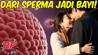 begini loh proses pembuatan anak di dalam perut ibu dari sperma hingga lahir