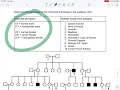 Pedigree Charts and X Linked Traits 1