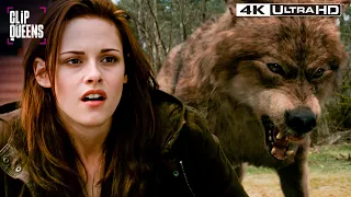 jacob s secret destroys bella full scene twilight new moon 4k