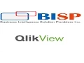 Implementing Security in Qlikview using Section Access
