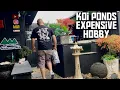 KEEPING KOI FISH CAN BE EXPENSIVE BUT IT S GREAT UPDATE ON MY KOI