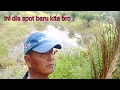 Lagu coba uji nyali mancing sepat siam ditempat yang ada buayanya