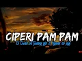 Download Lagu DJ CIPERI PAM PAM X DI DUNIA INI TENANG AJA X NGANA SO PIGI