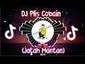 Download Lagu DJ Plis Cobain ( Jatah Mantan) Viral 2021 DJ Viral Tiktok