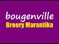 Download Lagu BOUGENVILLE - BROERY MARANTIKA (lirik)