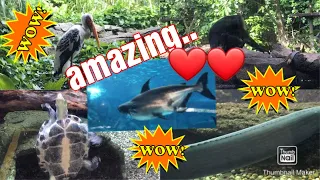 the amazing seen under the water 