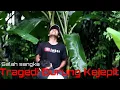 Download Lagu \