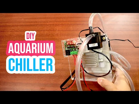 Download MP3 Cool Down Your Aquarium with a DIY Chiller: Step-by-Step Tutorial