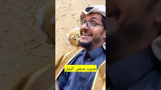 صوت صفير البلبل 