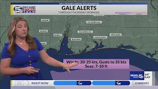 FORECAST Rough Surf