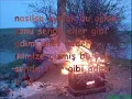 bengü unut beni ozy