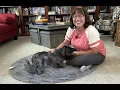 Soft fuzzy rug - washable too So comfy 2x6 Runner Rug for Bedroom Fluffy Shag Soft Washable Rugs
