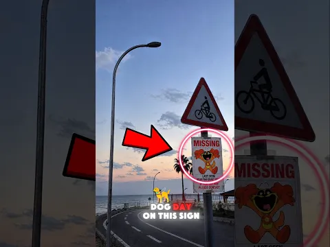 If You Ever See DogDay on This Sign... 😱 Find Him Immediately...