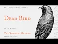 What s The Meaning Of Seeing a Dead Bird On Your Path The Spiritual Meaning