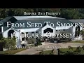 Download Lagu From Seed To Smoke: A Cigar's Odyssey | Davidoff Cigar Factory \u0026 Farms (How Cigars Are Made)