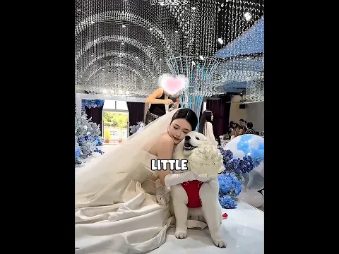 She Refused to Leave Her Dog Behind 🥹🐶