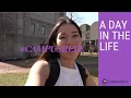 Sororities Fraternities Greek Life at Boston University - 2018