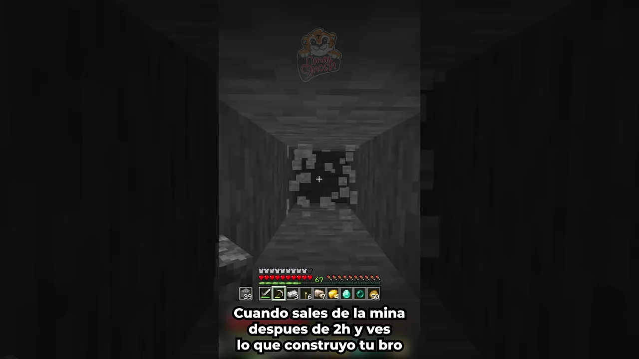 Construyo una mansion!
