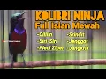 Download Lagu PANCINGAN KOLIBRI NINJA MATERI MEWAH FULL ISIAN CILILIN JANGKRIK SRINDIT JENGGOT PLECI 100% NYAUT