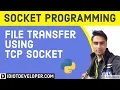 Large File Transfer using TCP Socket in Python3 Socket Programming in Python