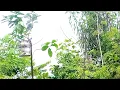 Download Lagu Dua gandingan pikat solo bagi kita joget tompinai.