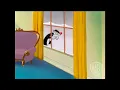 Looney Tunes Super stars: Tweety & Sylvester: Feline Fwenzy Clip