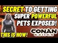 Secret to making your pets in Conan Exiles super powerful exposed So many do not know this
