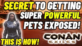 Secret to making your pets in Conan Exiles super powerful exposed So many do not know this