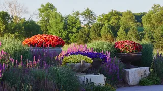 Ted Lare Design Build - Landscaping