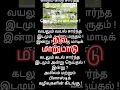 Download Lagu என்றுமாறும்#shortsfeed#குறிஞ்சி#முல்லை#மருதம்#நெய்தல்#பாலை#mountain#forest#fields#seaside#desert