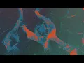 Le Youth & Sultan + Shepard - Pattern feat. Emily Falvey