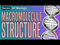 AP Biology - Structure Function of Macromolecules