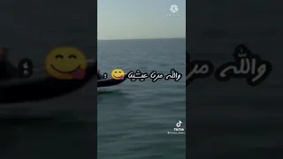 Haraga Dz 2021 القارب السريع سرعة خيالية  Haraga Dz 2021 القارب السريع سرعة خيالية