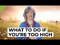 Download Lagu What To Do If You're Too High On Weed