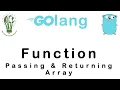 14 Passing Returning Array To From a Function Go Tutorial Go Lang Programming