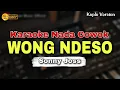 Download Lagu WONG NDESO - SONNY JOSS || KARAOKE LIRIK VERSI DANGDUT KOPLO || NADA COWOK