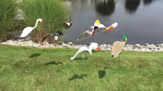 Florida Dancing Birds Water Fowl Garden Art